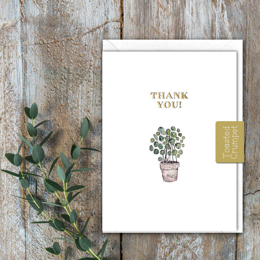 Thank You (Pot Plant) Card (Cello-Free)