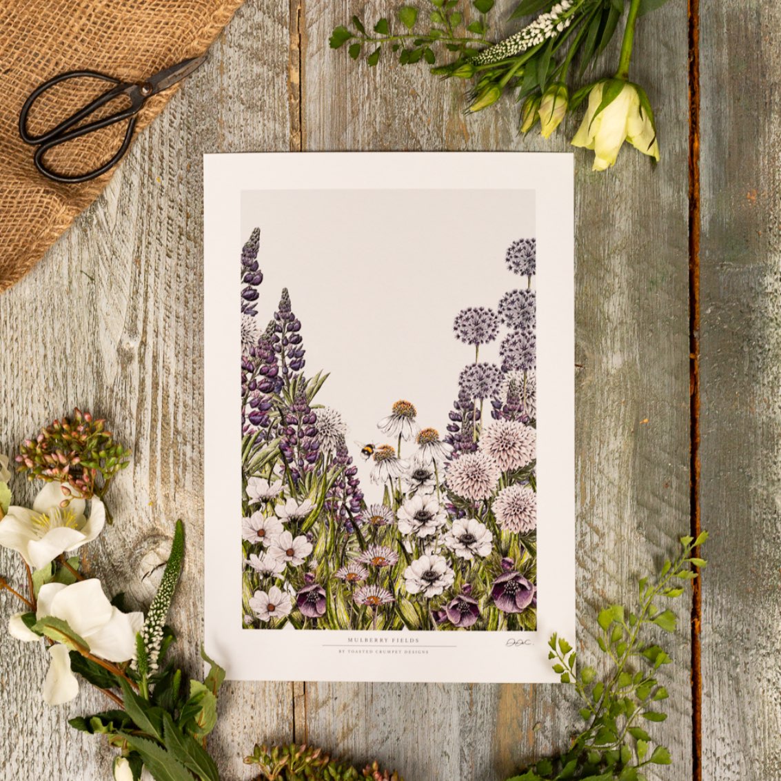 Mulberry Fields 12x16" Fine Art Print