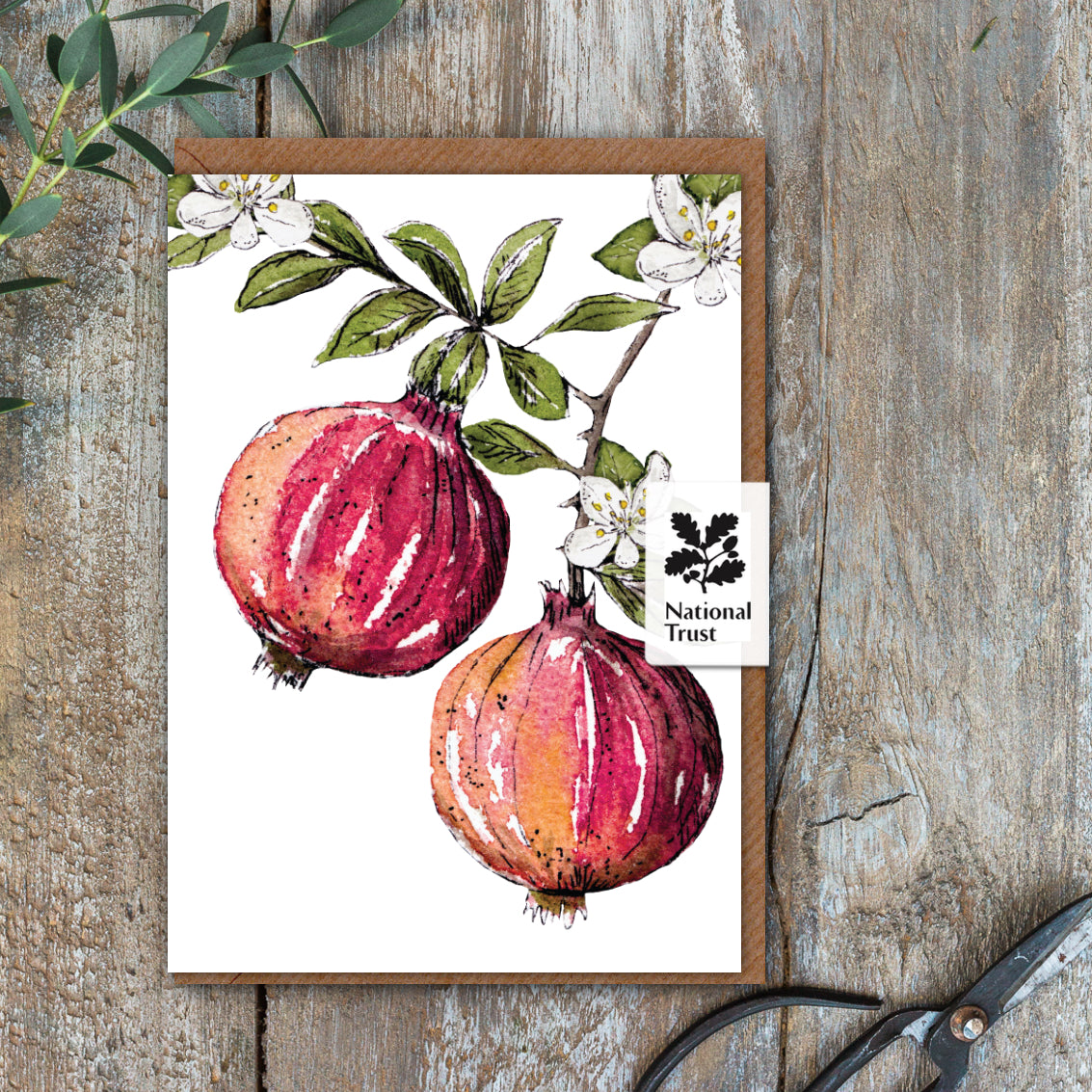 NEW! Pomegranate Card (Cello-Free) (available for dispatch from Jan 2026)