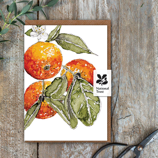 NEW! Oranges Card (Cello-Free)