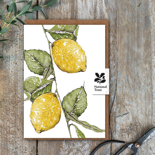 NEW! Lemon Card (Cello-Free)