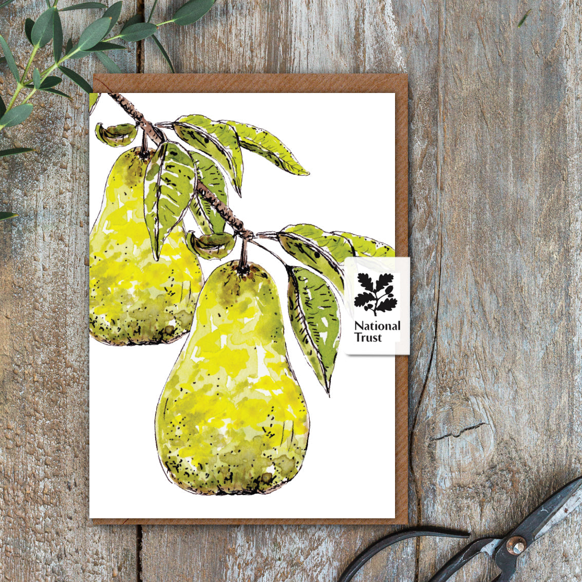 NEW! Pears Card (Cello-Free)