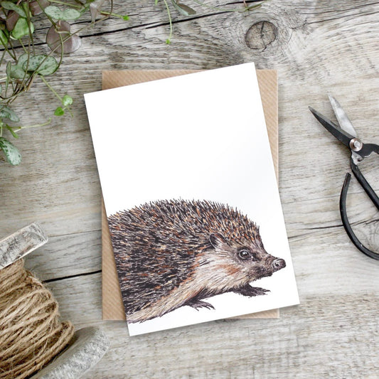Hedgehog Card (Cello-Free)