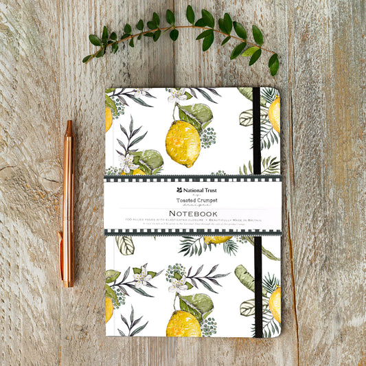 NEW! Lemon (Pure) A5 Lined Notebook (available for dispatch from Jan 2026)