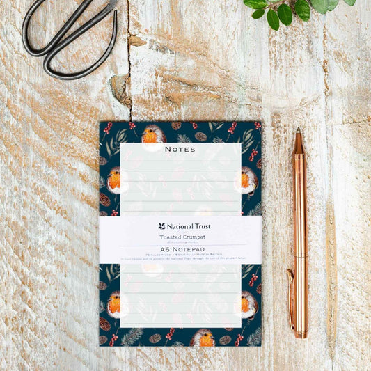 Winter Robin A6 Jotter Notepad