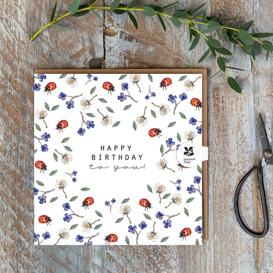 Happy Birthday to You! (Ladybird Pure) Card (Cello-Free)