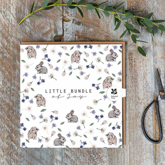 Little Bundle of Joy (Bunnies Pure) Card (Cello-Free)