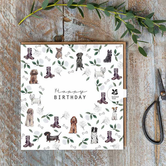 Happy Birthday (Dogs Pure) Card (Cello-Free)