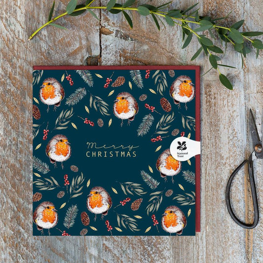 Merry Christmas (Robin Noir) Card (Cello-Free)