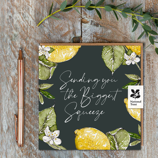 NEW! Sending you the Biggest Squeeze (Lemon Noir) Card (Cello-Free)