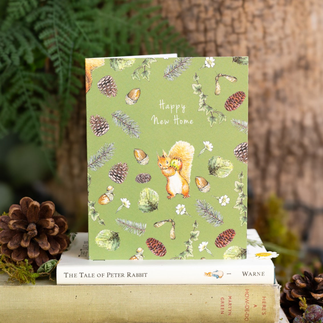 New Home (Squirrel Nutkin) Card (Cello-Free)