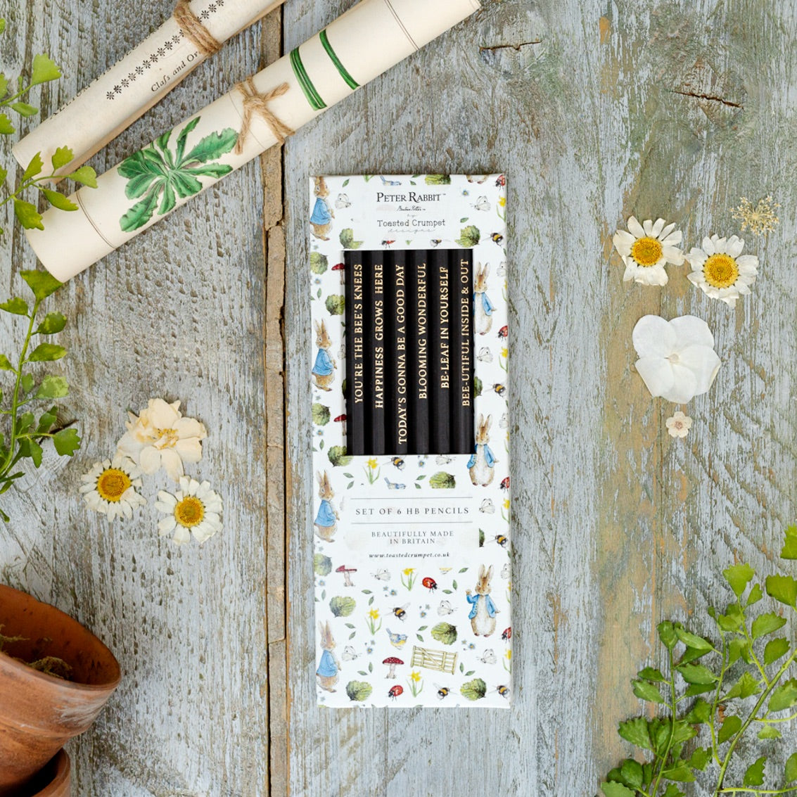 Peter Rabbit "Fresh Meadow Breeze" Set of 6 Pencils