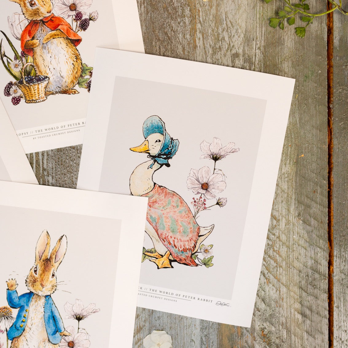 Peter Rabbit 10x12" Mounted Fine Art Print