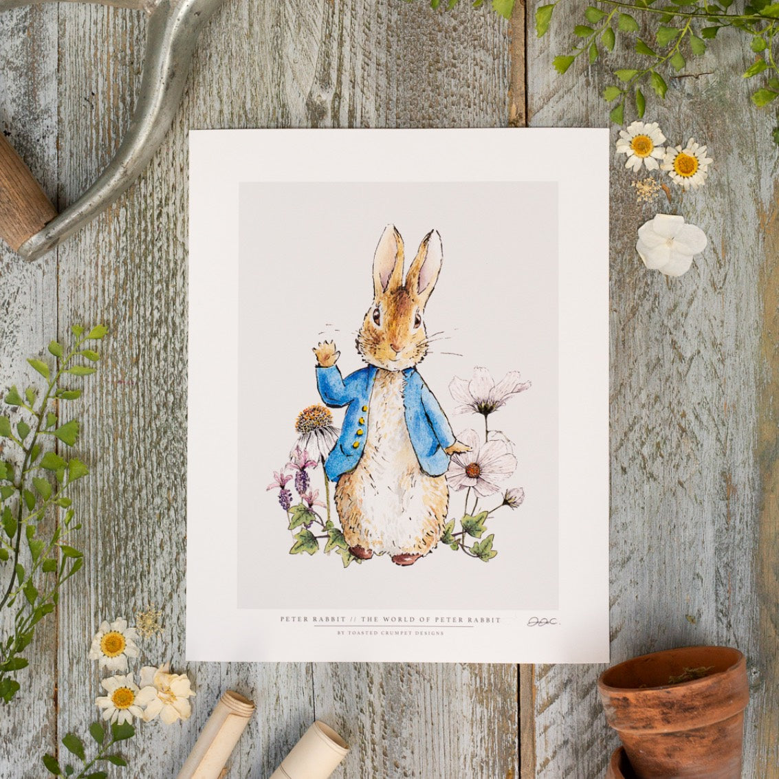 Peter Rabbit 10x12" Mounted Fine Art Print