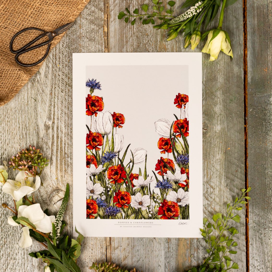 Poppies & Cornflowers 12x16" Fine Art Print