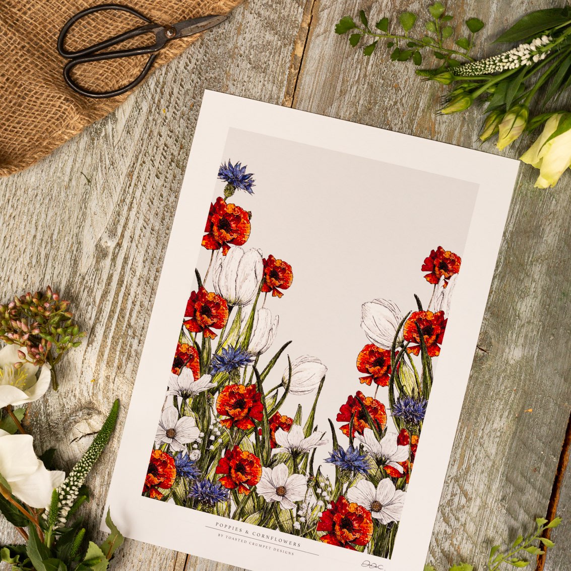 Poppies & Cornflowers 12x16" Fine Art Print