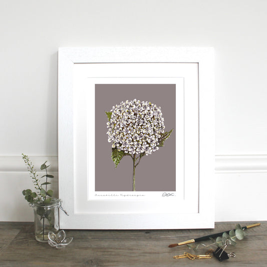 Annabelle Hydrangea 10x12" Mounted Fine Art Print