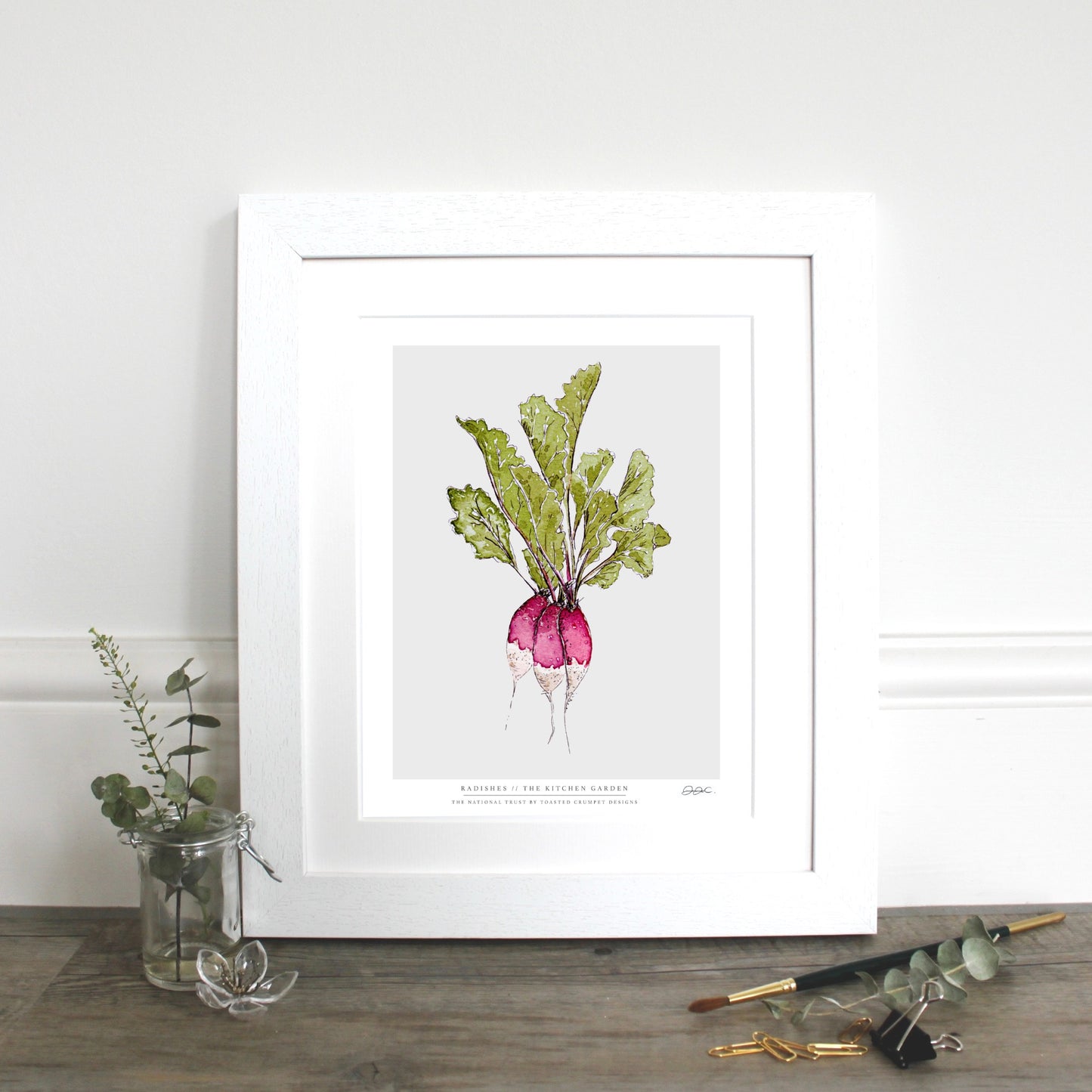 The Kitchen Garden Radishes 10x12" Fine Art Print