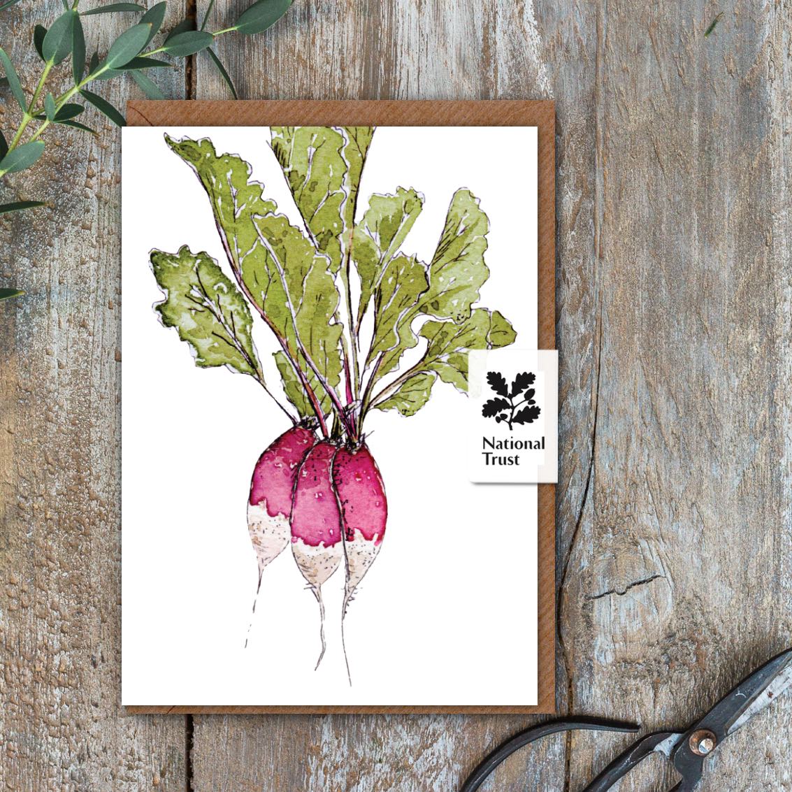 The Kitchen Garden Raddishes Card (Cello-Free)