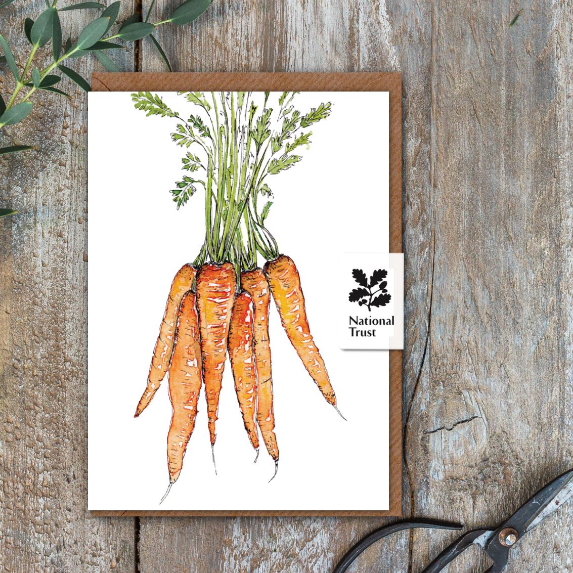 The Kitchen Garden Carrots Card (Cello-Free)
