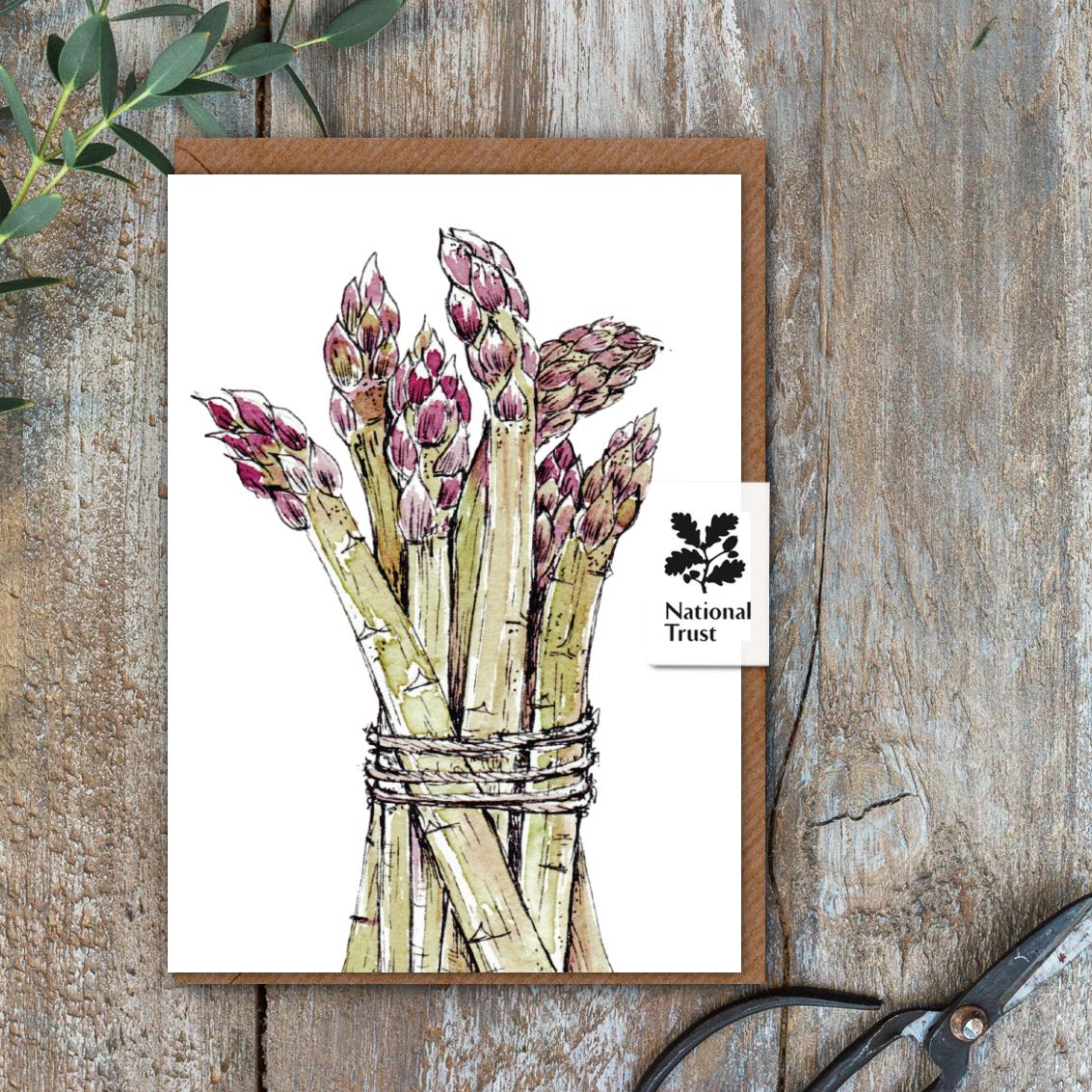 The Kitchen Garden Asparagus Card (Cello-Free)