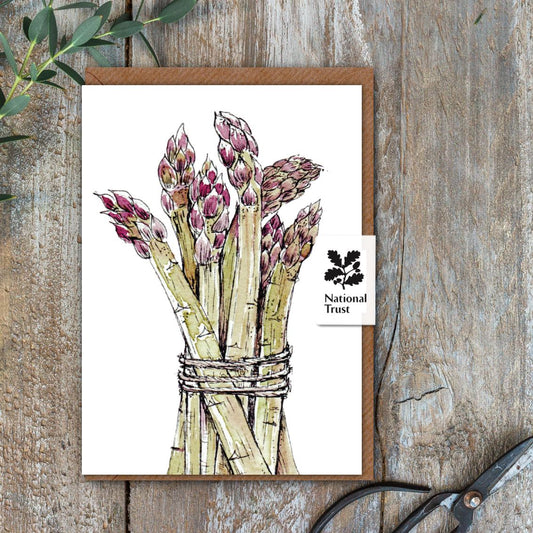 The Kitchen Garden Asparagus Card (Cello-Free)