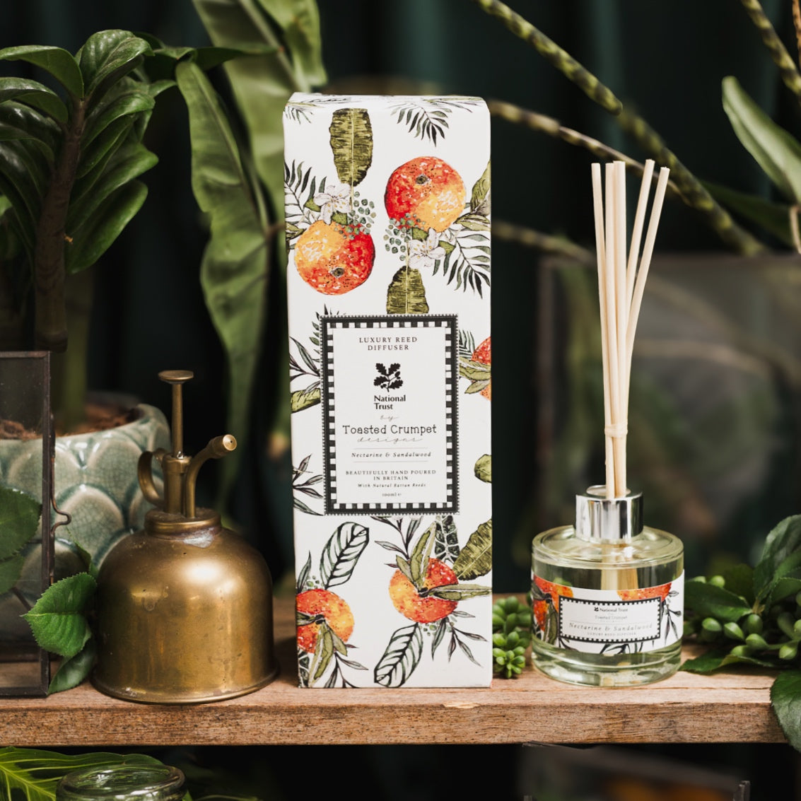 NEW! Nectarine & Sandalwood Diffuser