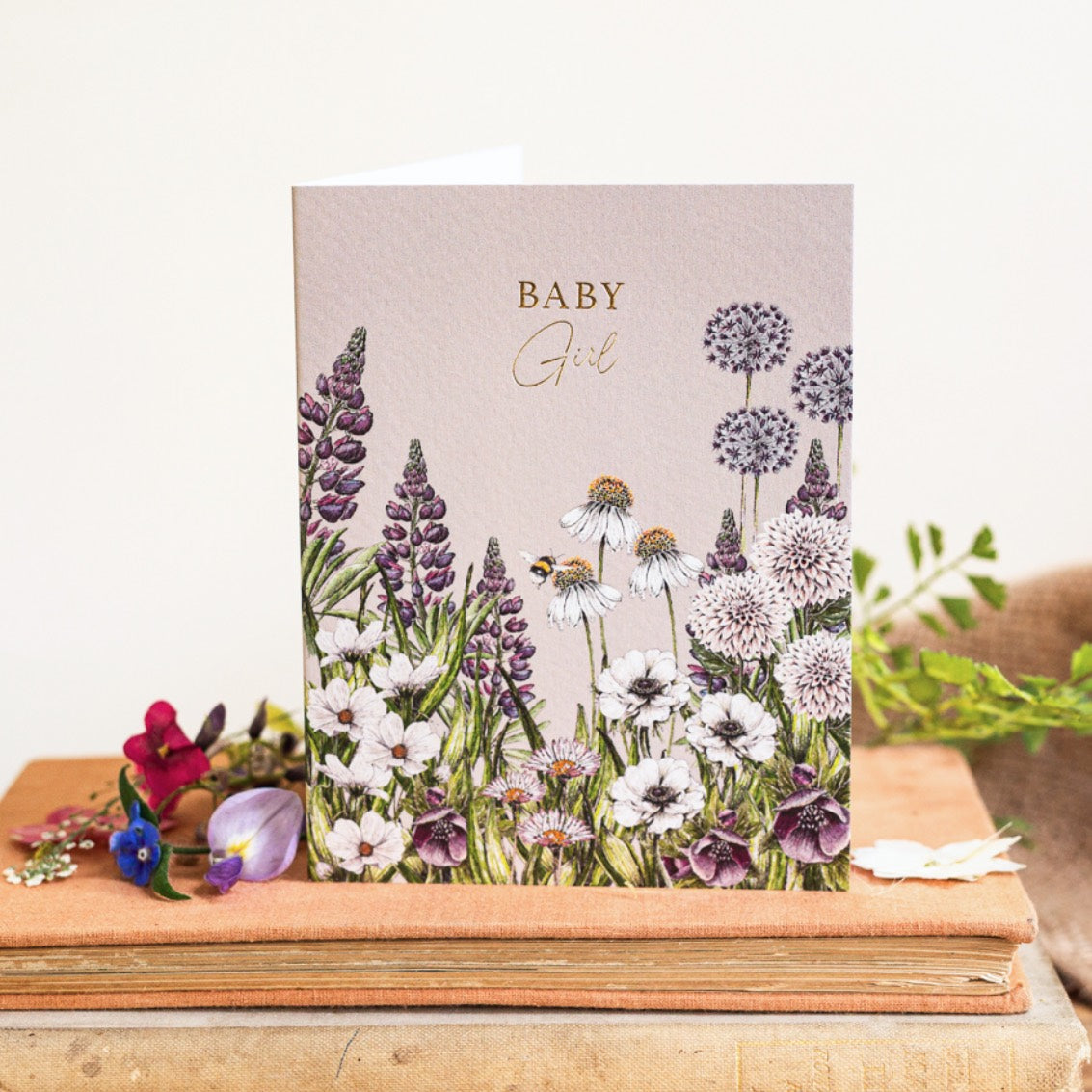 Baby Girl Card (Cello-Free)