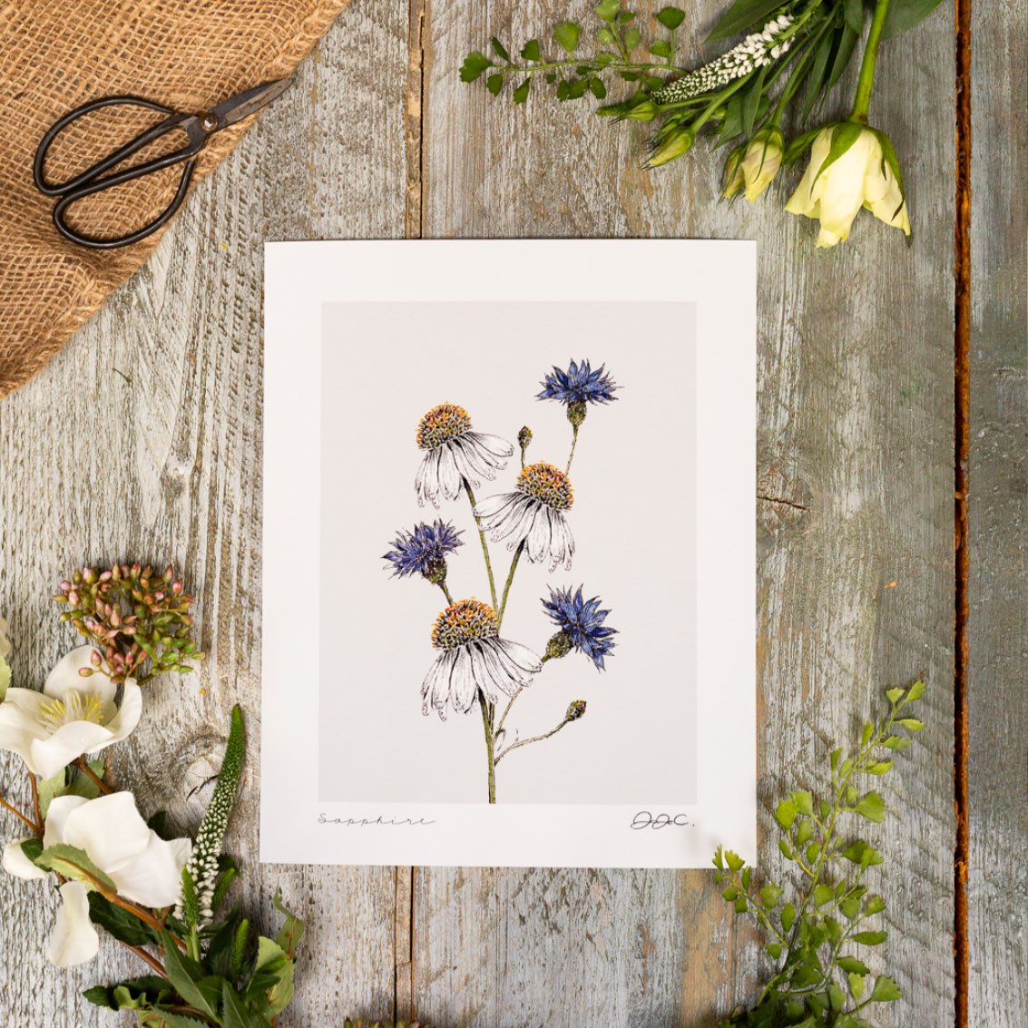 Sapphire 10x12" Fine Art Print