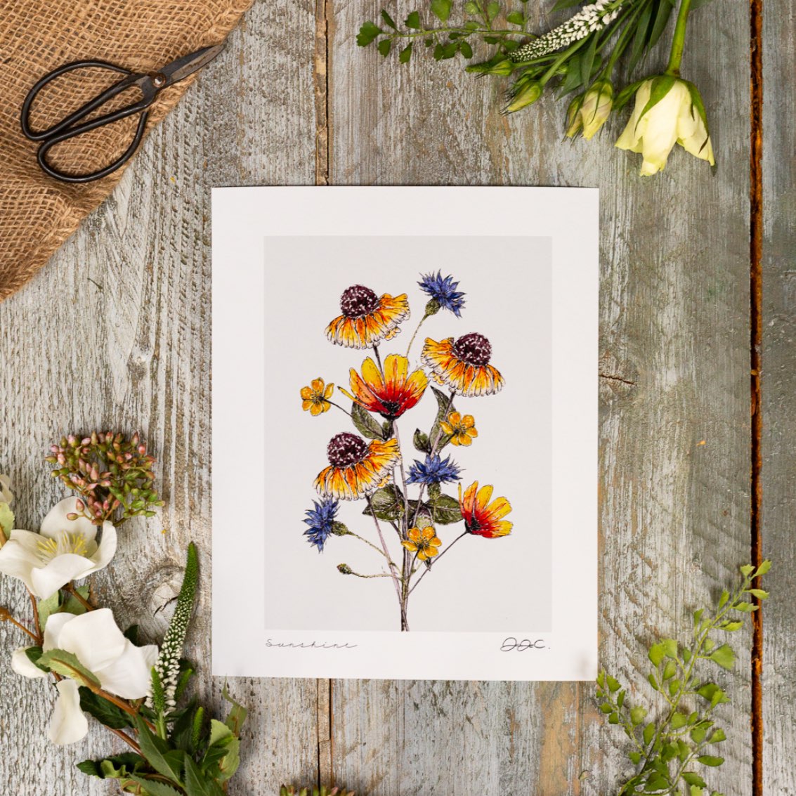 Sunshine 10x12" Fine Art Print