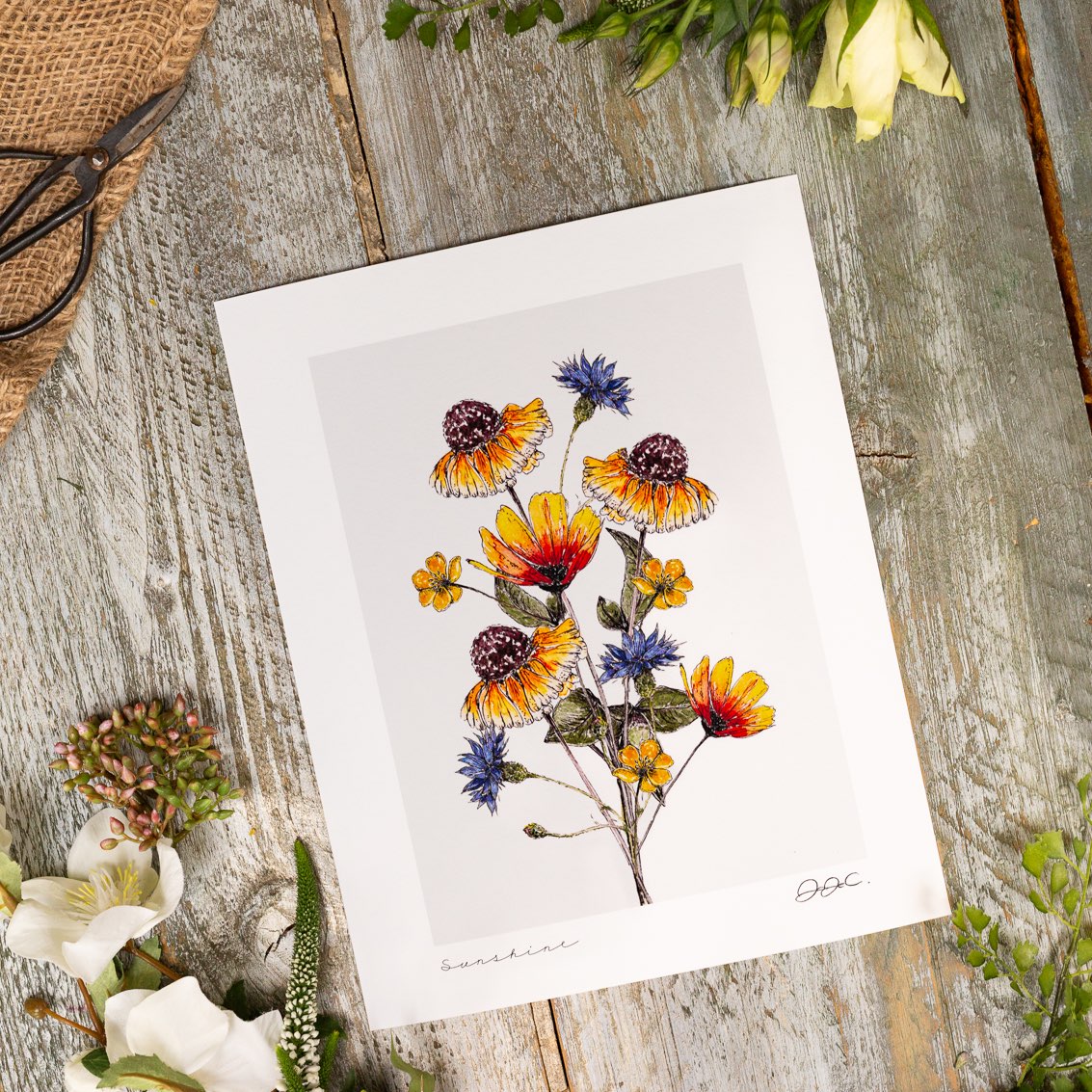 Sunshine 10x12" Fine Art Print