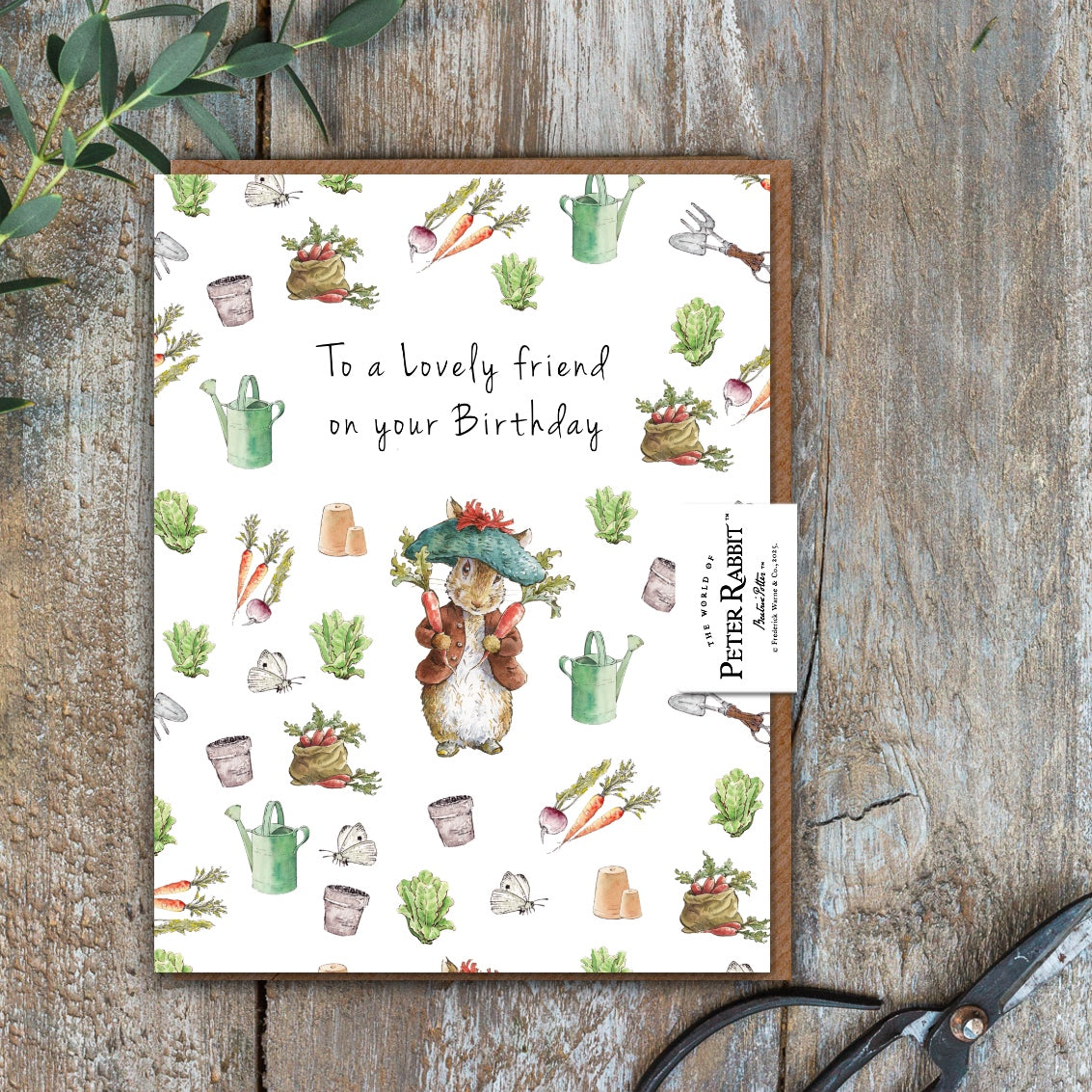 To a Lovely Friend on Your Birthday (Benjamin Bunny) Card (Cello-Free)