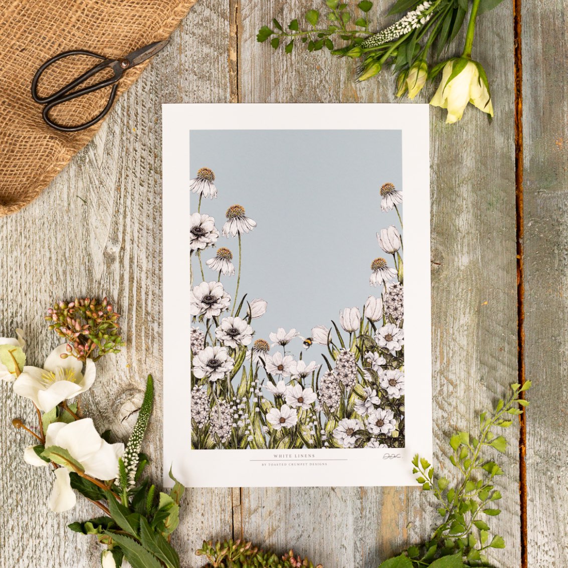 White Linens 12x16" Fine Art Print