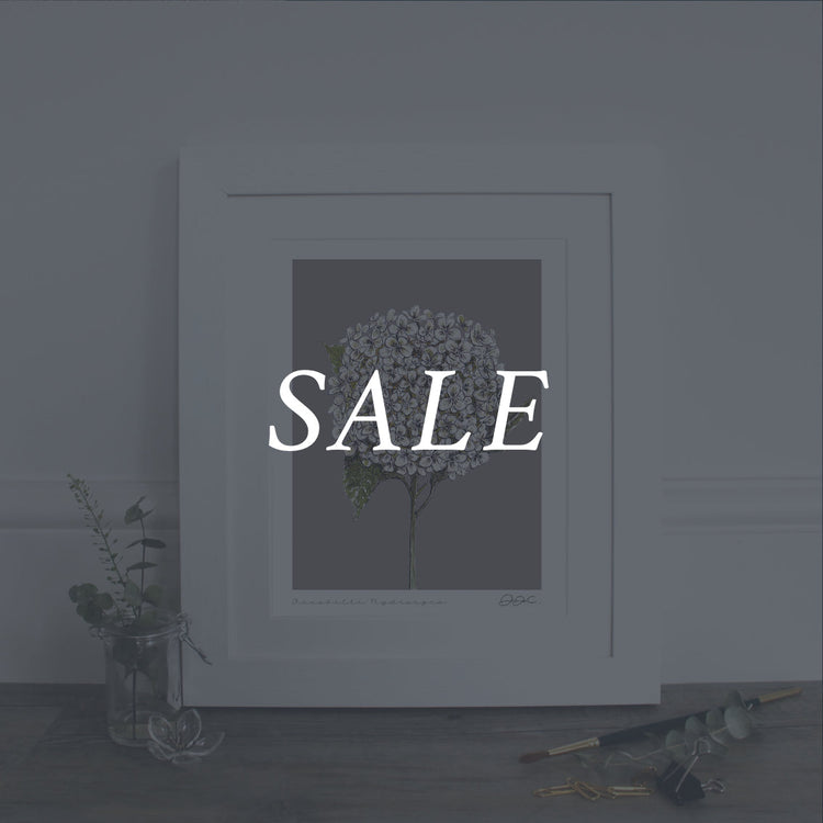 Fine Art Print Sale