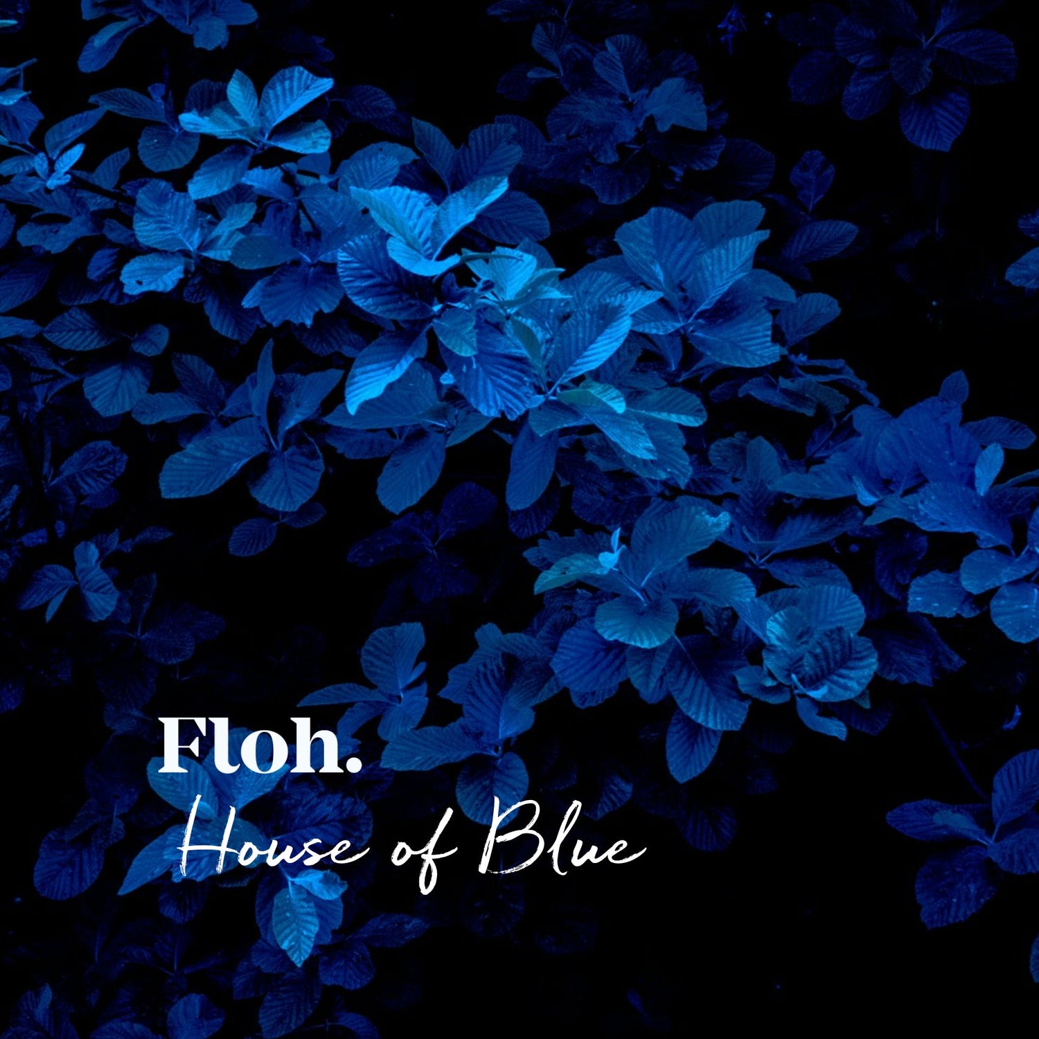 House of Blue