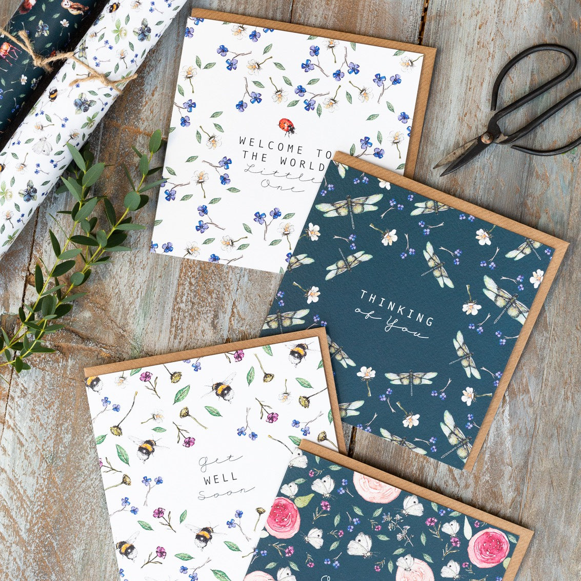 Explore & Treasure Card Collection with the National Trust