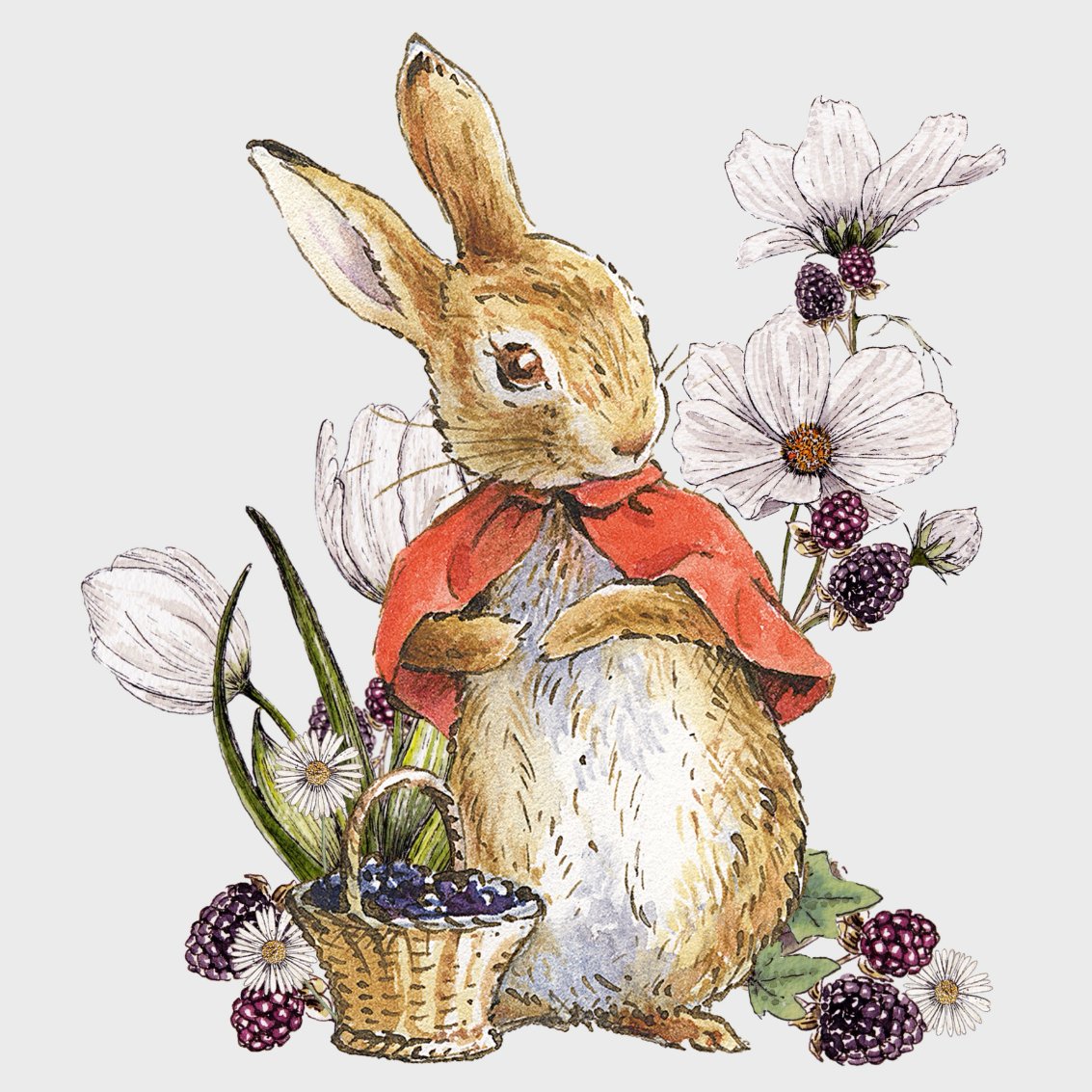 Flopsy