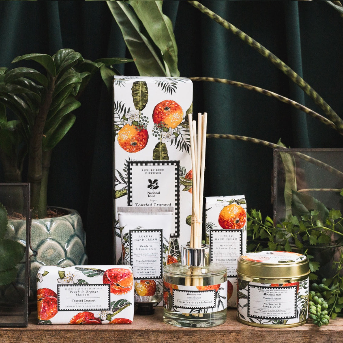 Orangery Collection – Toasted Crumpet