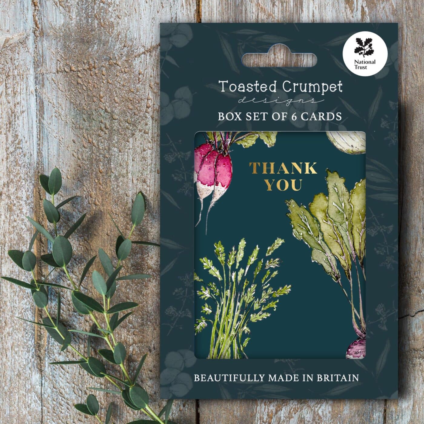 Mini Boxed Set of 6 Cards