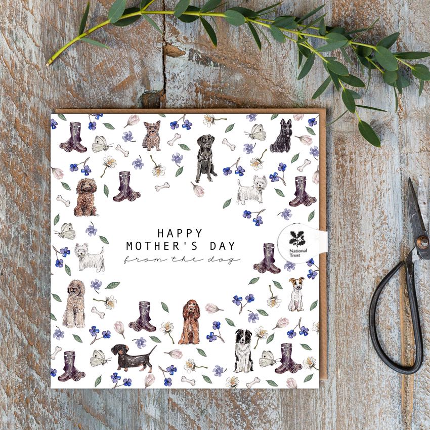For Her & Mother's Day Cards