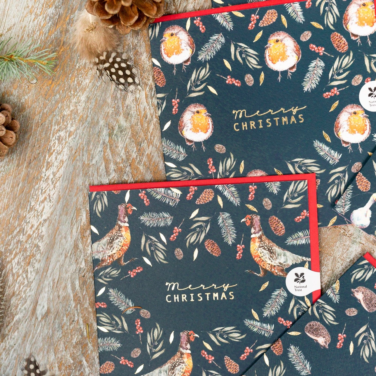 Explore & Treasure Card Collection: Christmas Edition