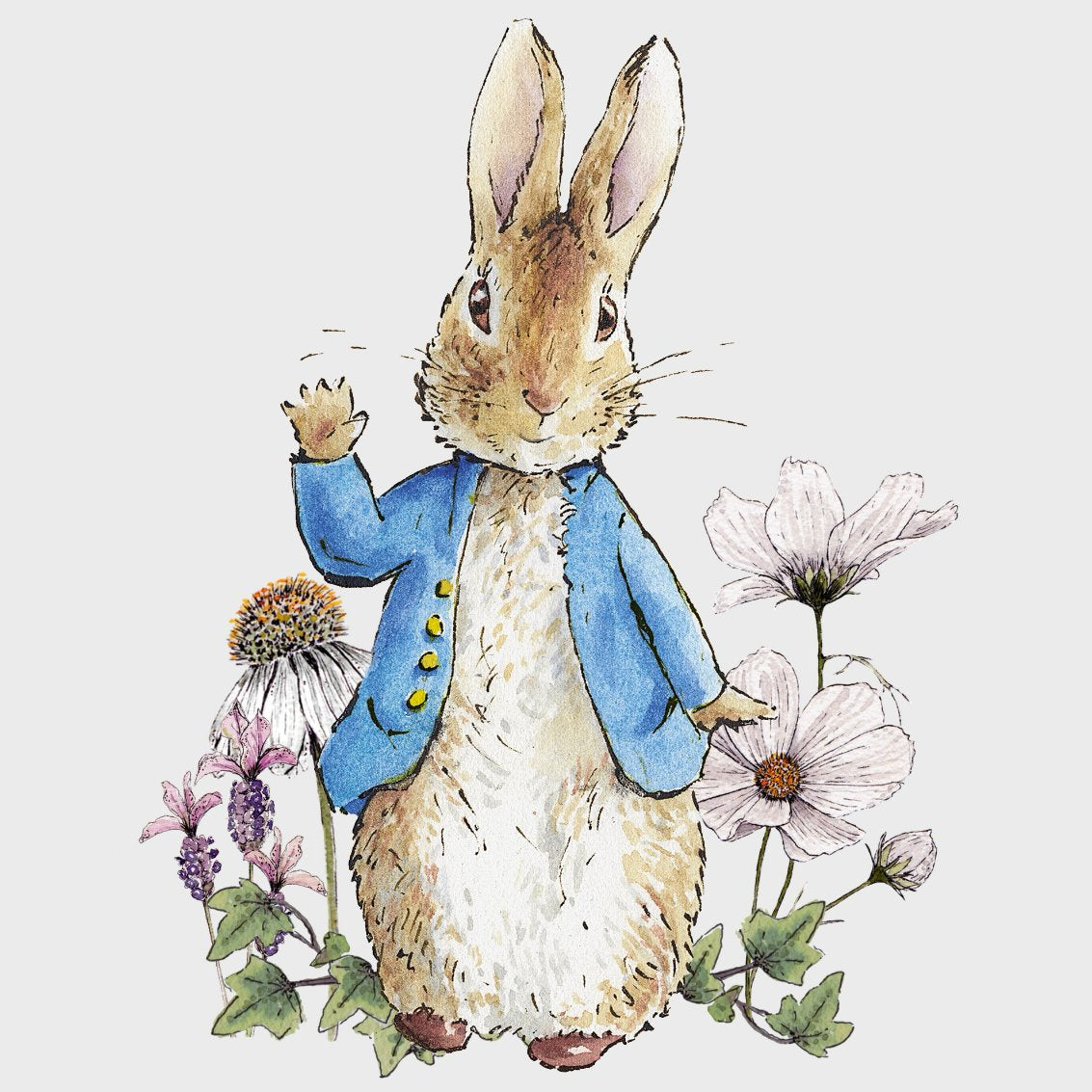 Peter Rabbit