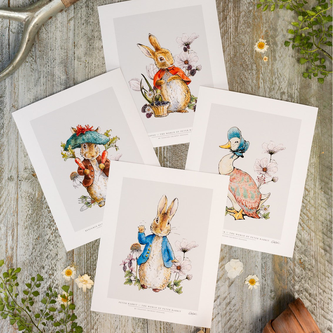 World of Peter Rabbit Collection