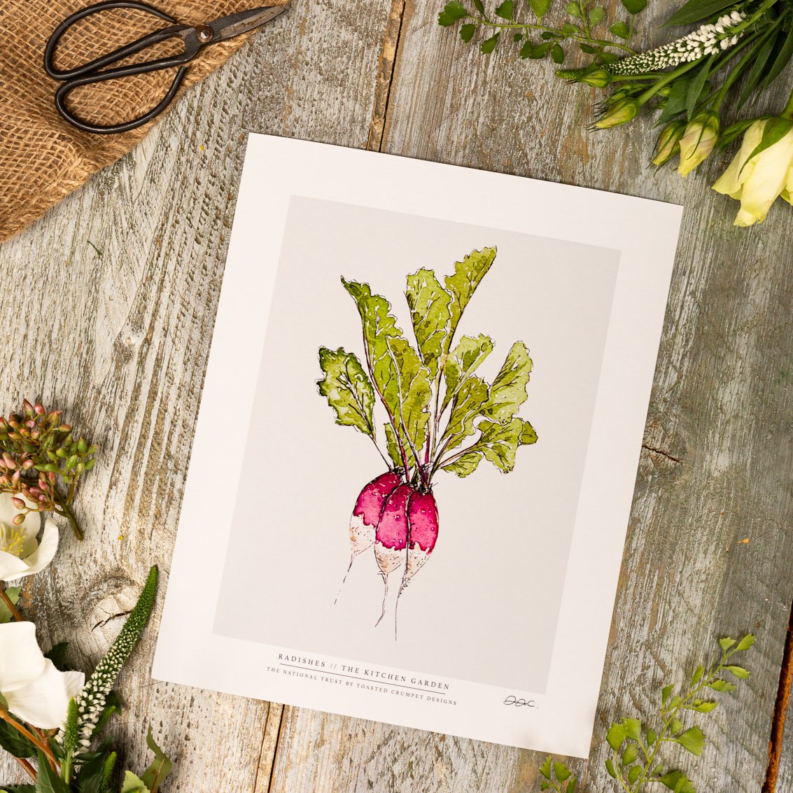 Fine Art Print Display Testers