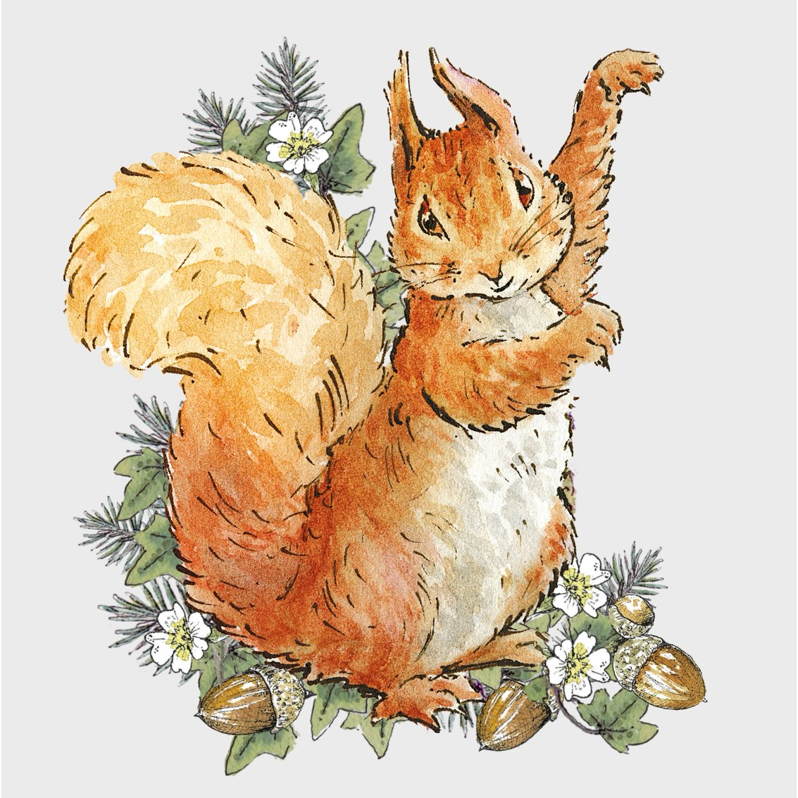 Squirrel Nutkin