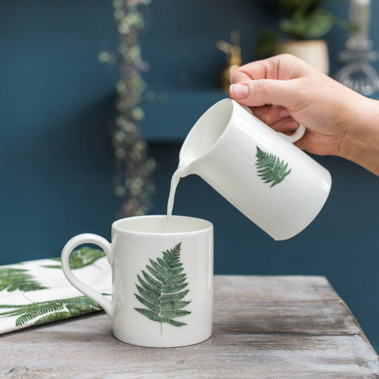 Woodland Fern Collection