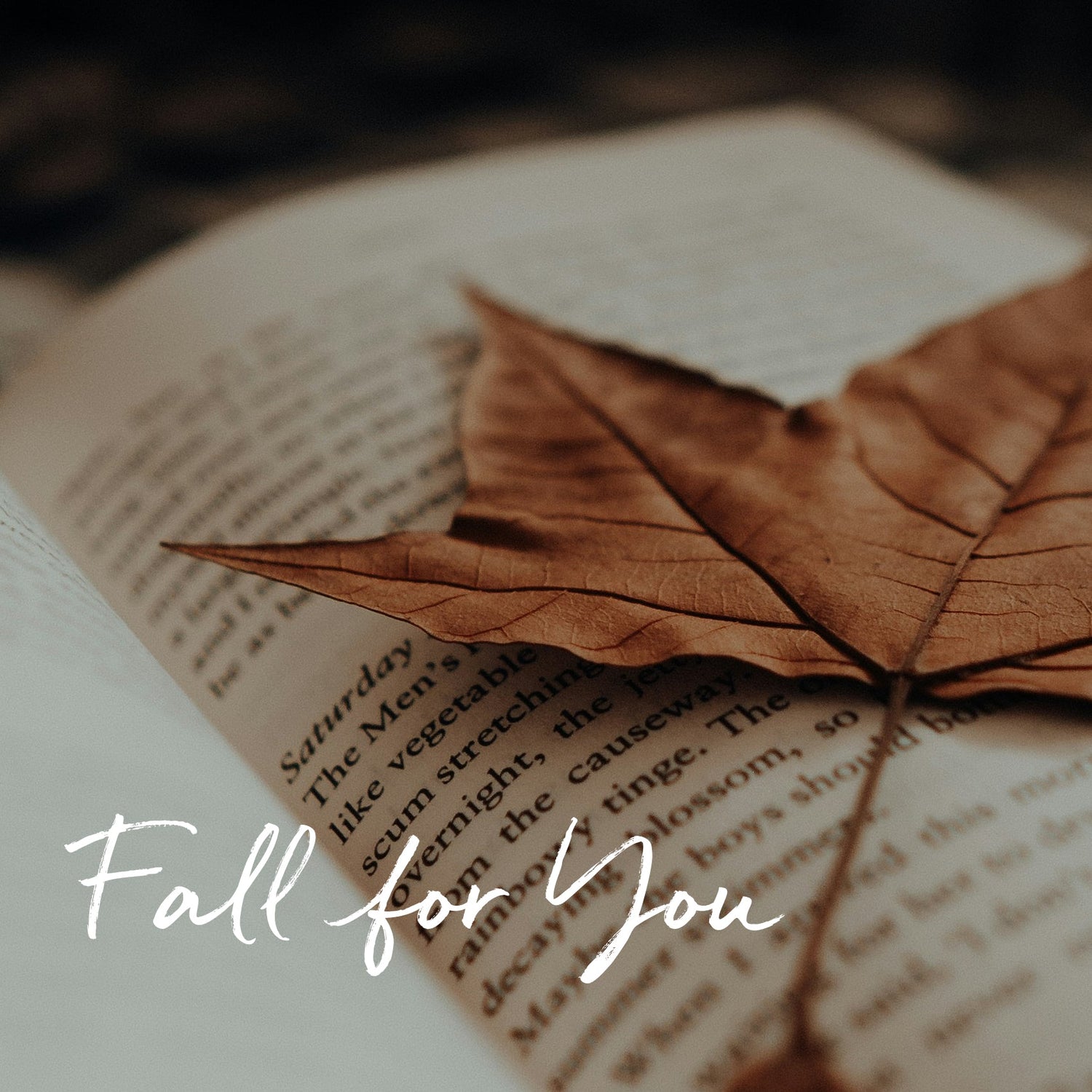 Fall For You Collection