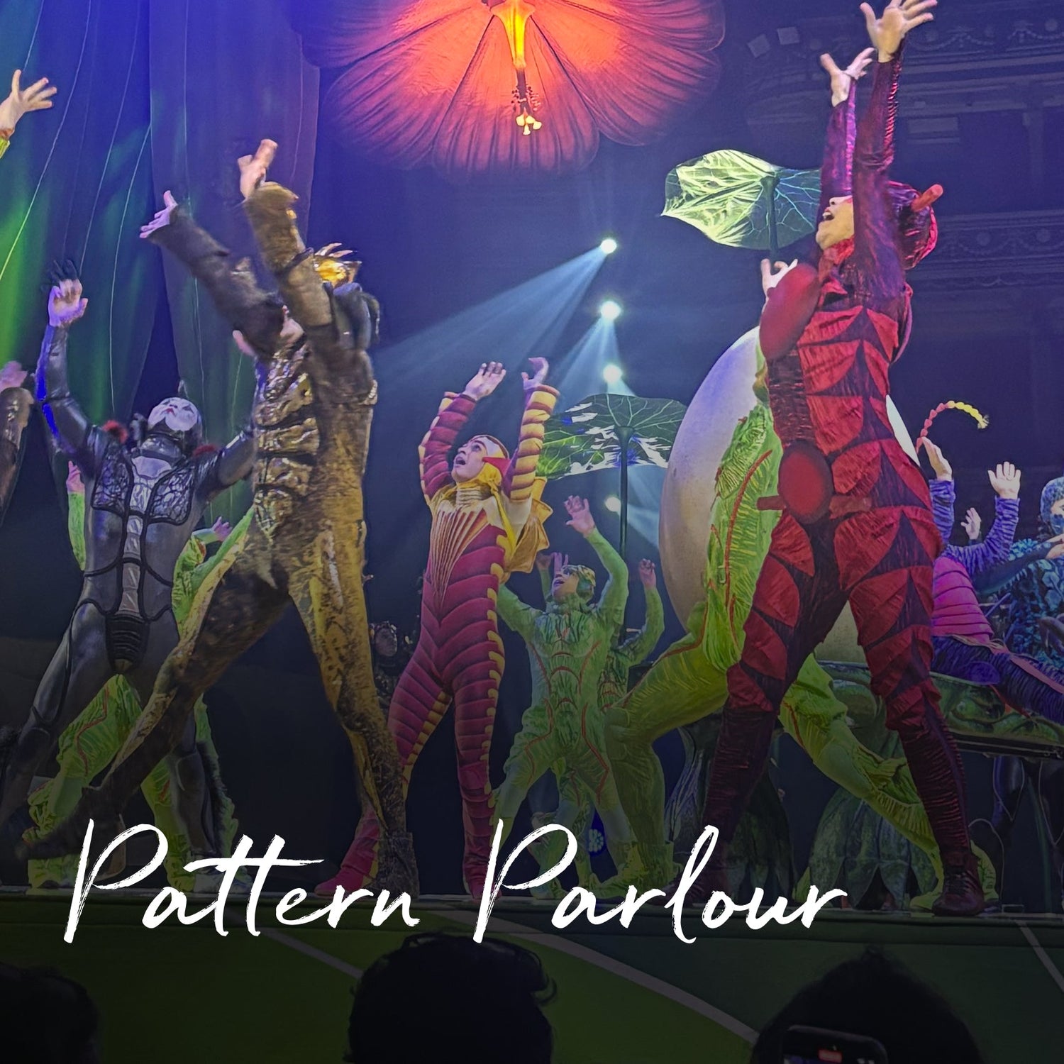 Pattern Parlour Collection