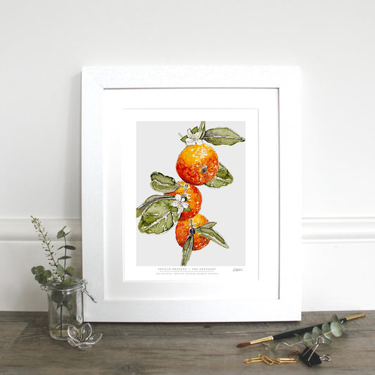 NEW! Seville Oranges 10 x 12" Fine Art Print