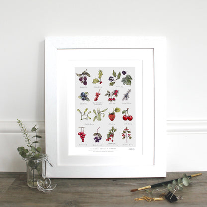 Seasonal Fruits & Berries 10 x 12" Fine Art Print
